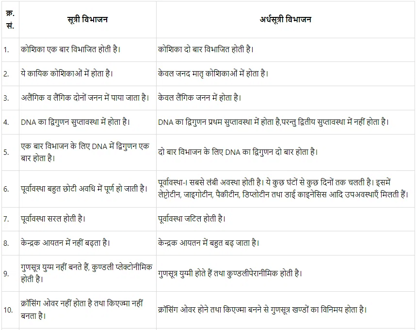 कोशिका चक्र और कोशिका विभाजन (Cell Cycle & Cell Division) NCERT Solutions | NCERT Textbooks in Hindi (Class 6 to Class 12) - CTET & State TET