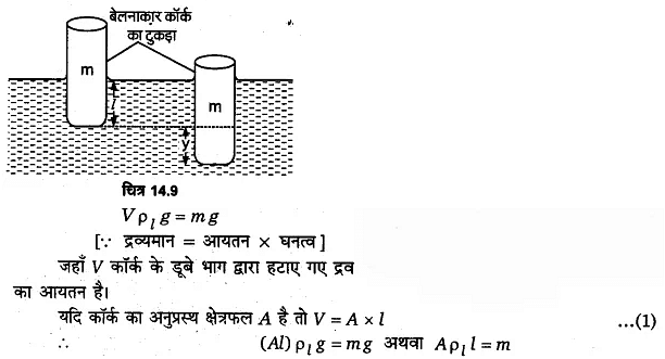 दोलन (Oscillations) NCERT Solutions | NCERT Textbooks in Hindi (Class 6 to Class 12) - CTET & State TET
