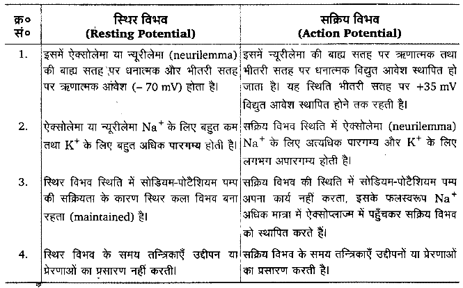 तन्त्रिकीय नियन्त्रण एवं समन्वय (Neural Control & Coordination) NCERT Solutions | NCERT Textbooks in Hindi (Class 6 to Class 12) - CTET & State TET