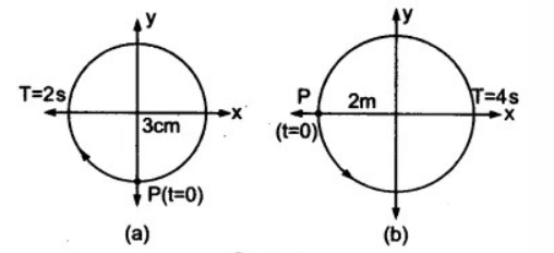 दोलन (Oscillations) NCERT Solutions | NCERT Textbooks in Hindi (Class 6 to Class 12) - CTET & State TET