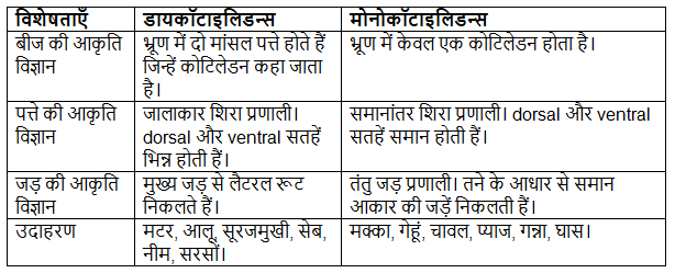 डायकॉटाइलिडन्स और मोनोकॉटाइलिडन्स के बीच प्रमुख अंतर