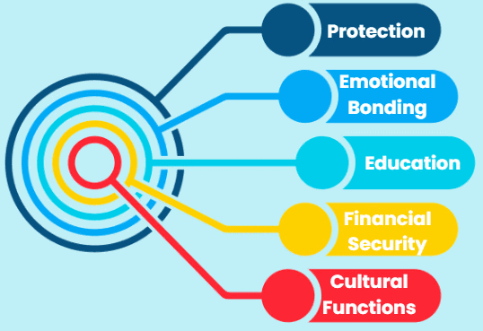 परिवार के कार्य