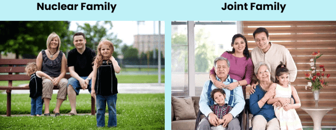 1. न्यूक्लियर फैमिली