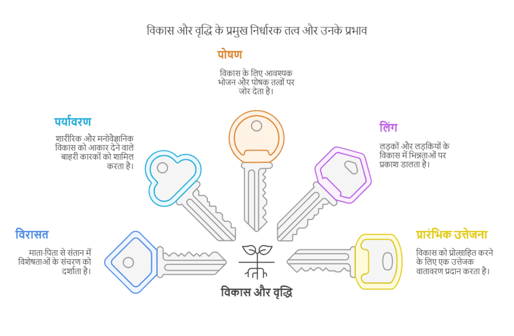 Notes: विकास की अवधारणा और इसका अधिगम के साथ संबंध | बाल विकास और शिक्षाशास्त्र (CDP) के लिए तैयारी (CTET Preparation) - CTET & State TET