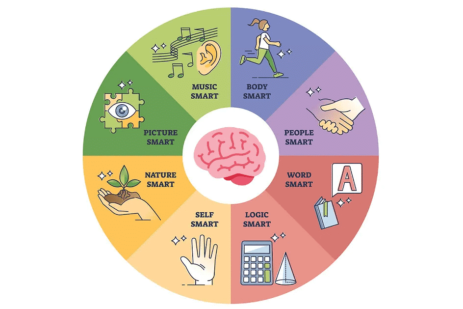 Notes: Construct of Intelligence and Multi-Dimensional Intelligence | Child Development and Pedagogy for CTET Preparation - CTET & State TET