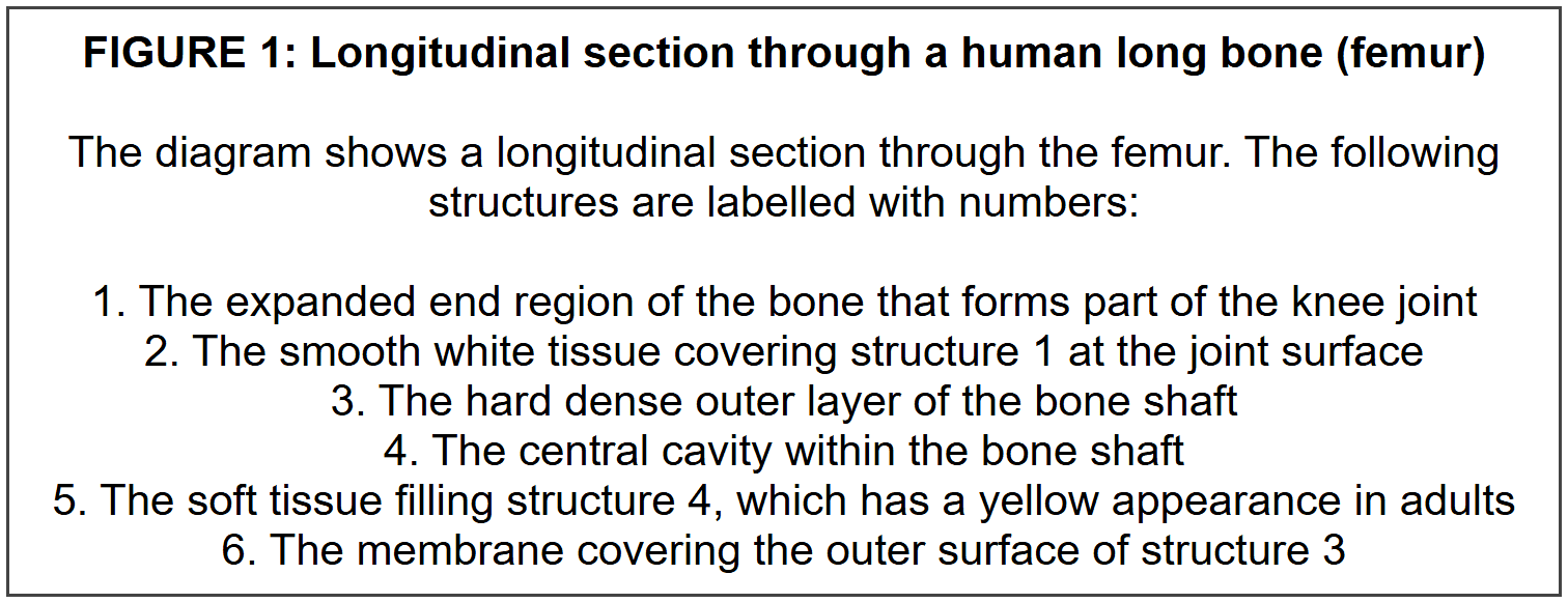 SECTION B: DIAGRAM AND LABELLING QUESTIONS