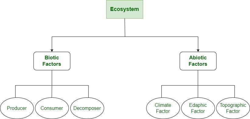 How Nature Works in Harmony Chapter Notes | Chapter Notes For Class 8