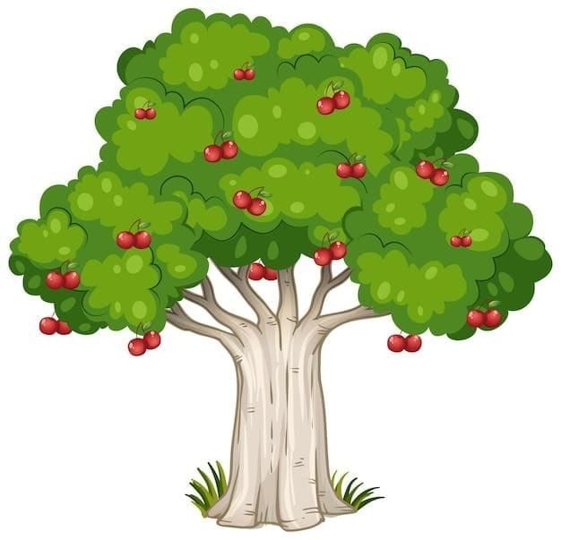 The Cherry Tree Chapter Notes | English Class 4 ICSE
