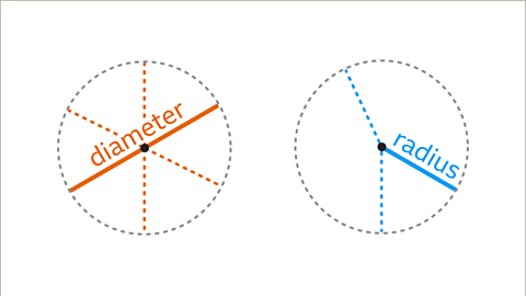 Circumference of a Circle - Year 7