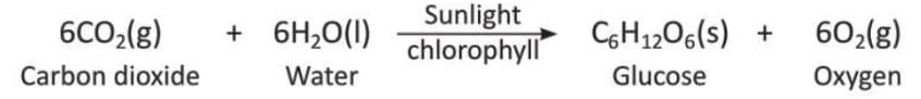 Chemical Reactions Chapter Notes | Chemistry Class 8 ICSE