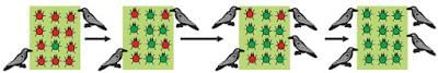 Heredity and evolution (complete notes) - Class 10