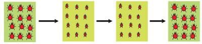 Heredity and evolution (complete notes) - Class 10