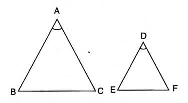 Similarity Chapter Notes | Mathematics Class 10 ICSE