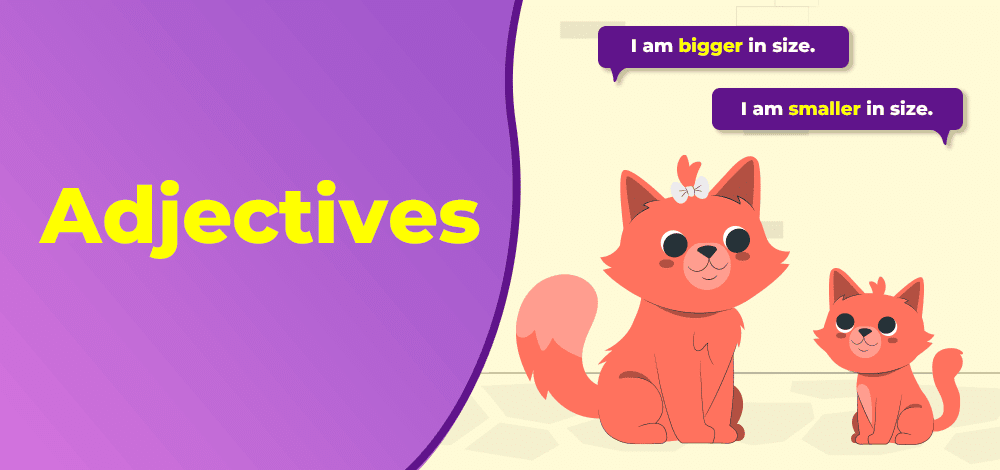 Types of Adjectives | Basic Grammar for IELTS