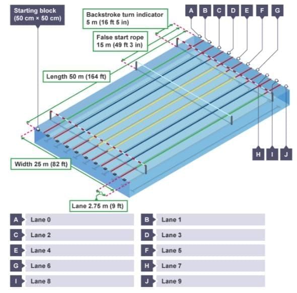 Factfile: Swimming | Physical Education for Year 6