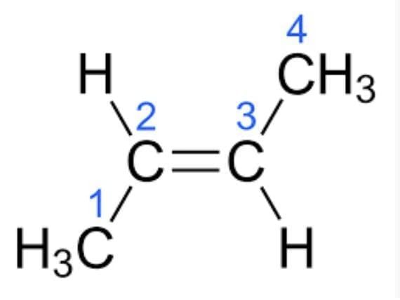 Class 10 Science Chapter 4 Previous Year Questions - Carbon and its compounds
