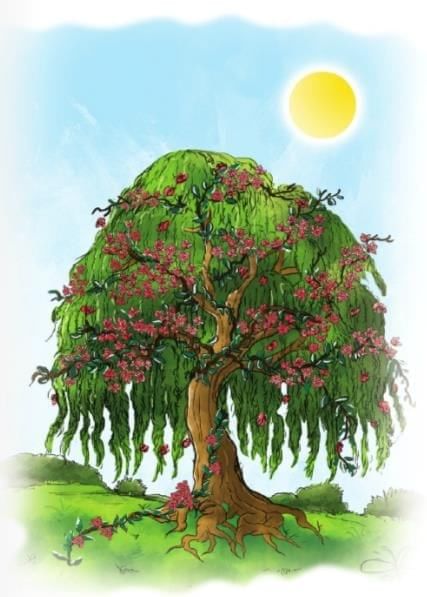 The Generous Willow Tree Chapter Notes | English Class 3 ICSE