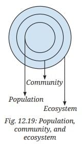 How Nature Works in Harmony NCERT Solutions | Science Curiosity Class 8 -  New NCERT