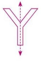 Symmetry Chapter Notes | Mathematics Class 6 ICSE