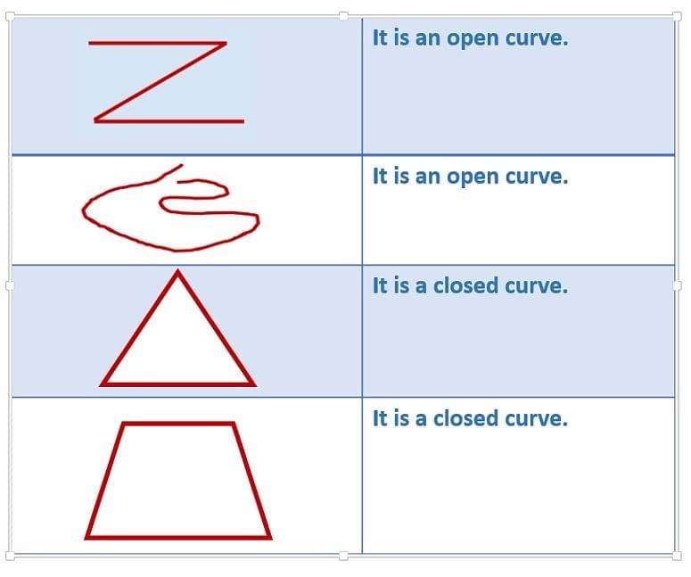 Basic Concepts in Geometry Chapter Notes | Mathematics Class 6 (SSC Board)