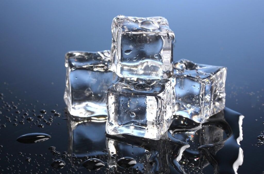 Important Questions: The Wonderful World of Science | Science for Class 6