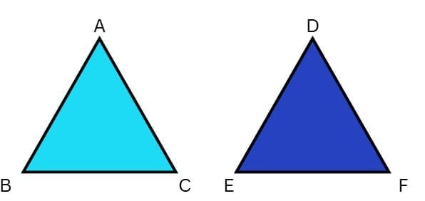 SECTION - D (5 Marks Each)