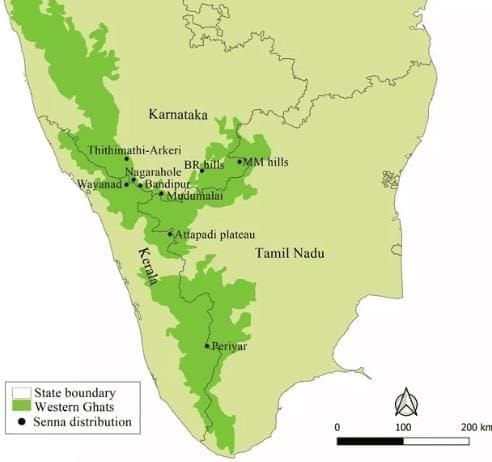 The Western Ghats 