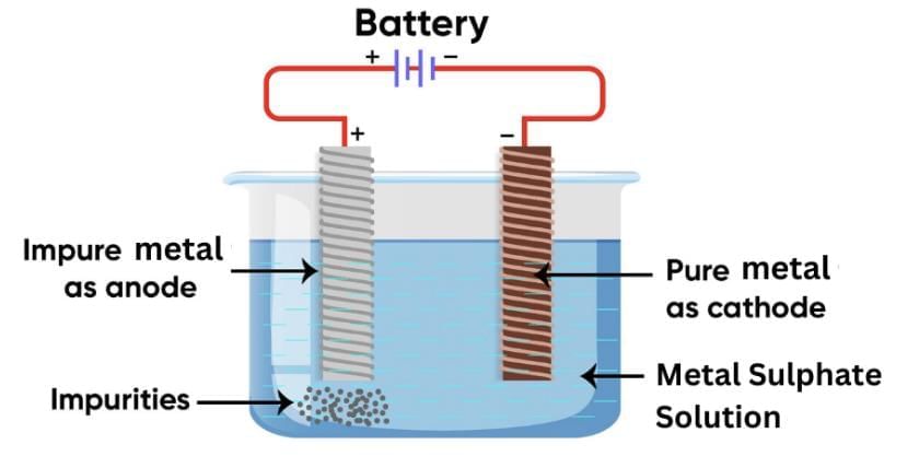 Previous Year Questions 2025