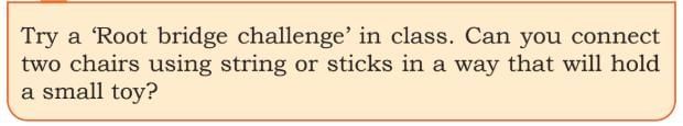 Some Unique Places NCERT Solutions | Our Wondrous World  Class 5 - New NCERT