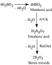 NCERT Solutions Class 11 Chemistry - The p-Block Elements