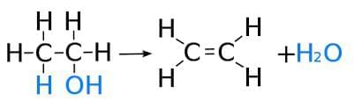 Carbon Compounds Chapter Notes | Earth and Environmental Science for Year 12