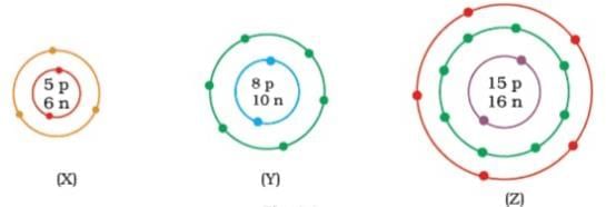 Important Diagrams: Structure of the Atom | Science Class 9