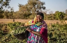 Revision Notes: Agriculture in India I-Food Crops | Geography Class 10 ICSE
