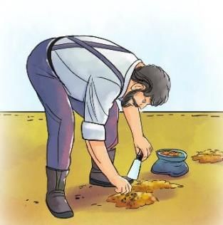Johnny Appleseed Chapter Notes | English Class 3 ICSE