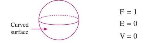 Three-dimensional Shapes Chapter Notes | Mathematics Class 6 ICSE