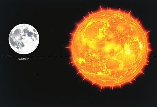 answer Image