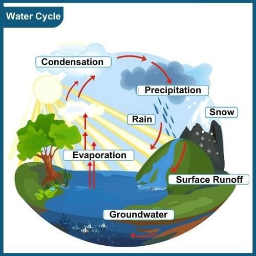 Olympiad Notes: Water | Science Olympiad Class 6