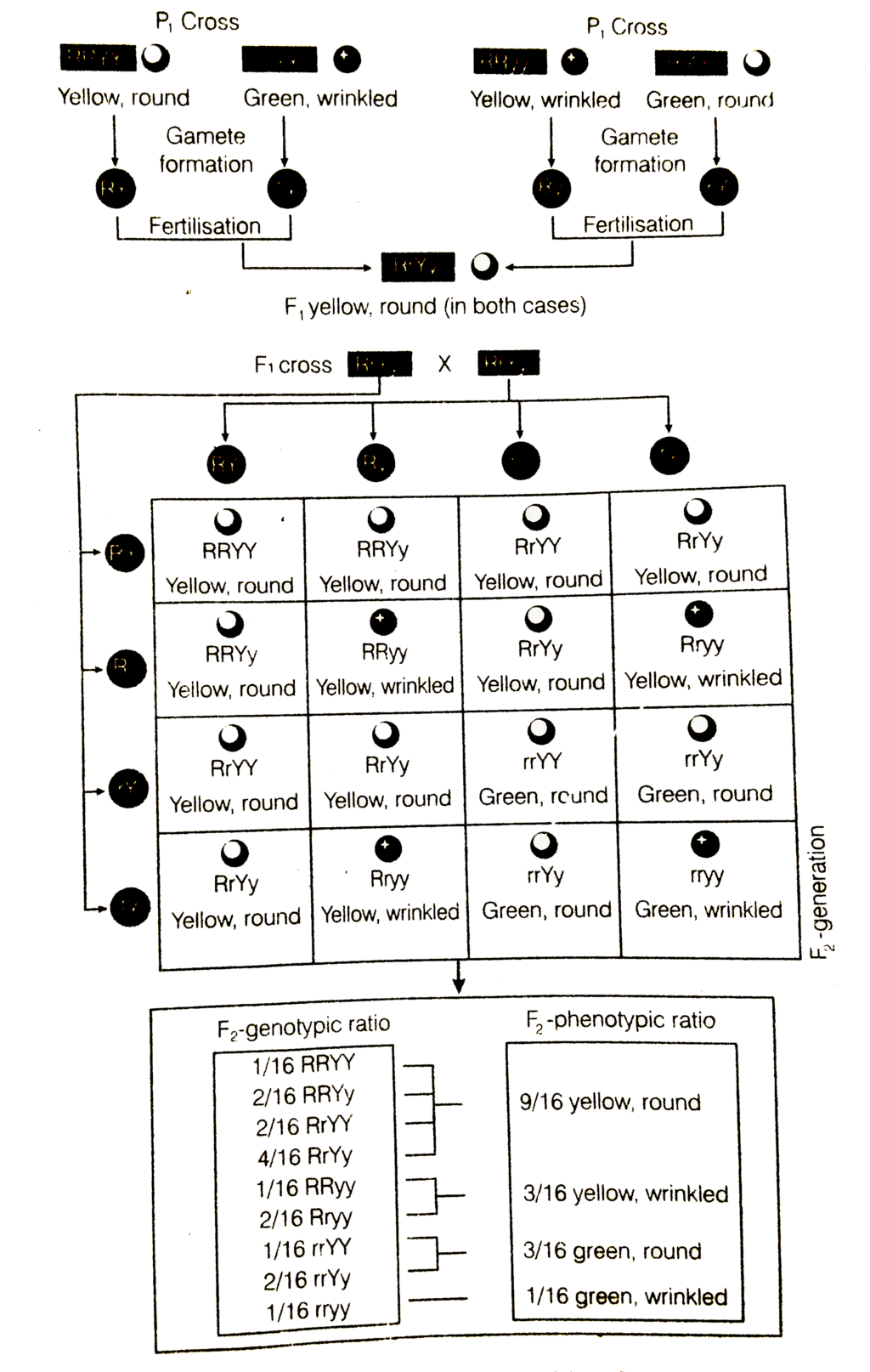 ocr_image