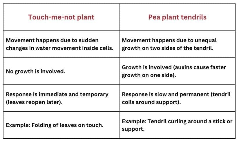 Previous Year Questions 2025