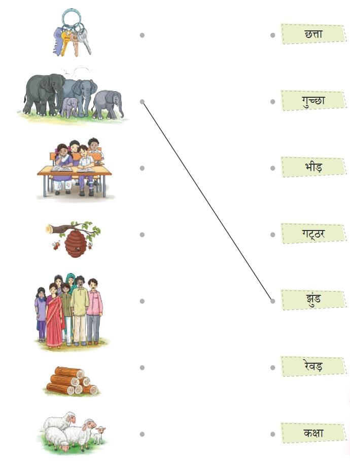 काजीरंगा राष्ट्रीय उद्यान की यात्रा NCERT Solutions | Hindi Class 5 वीणा - New NCERT
