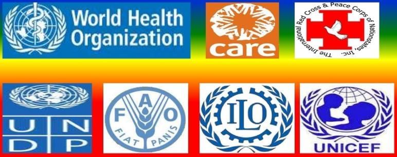Revision Notes: Health Organisations | Biology Class 10 ICSE