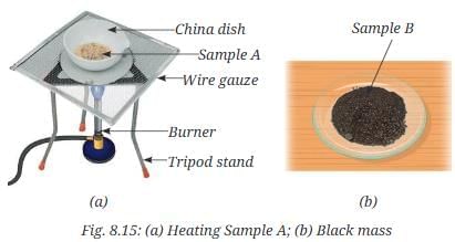 NCERT Based Activity: Nature of Matter: Elements, Compounds, and Mixtures | Science Curiosity Class 8 -  New NCERT