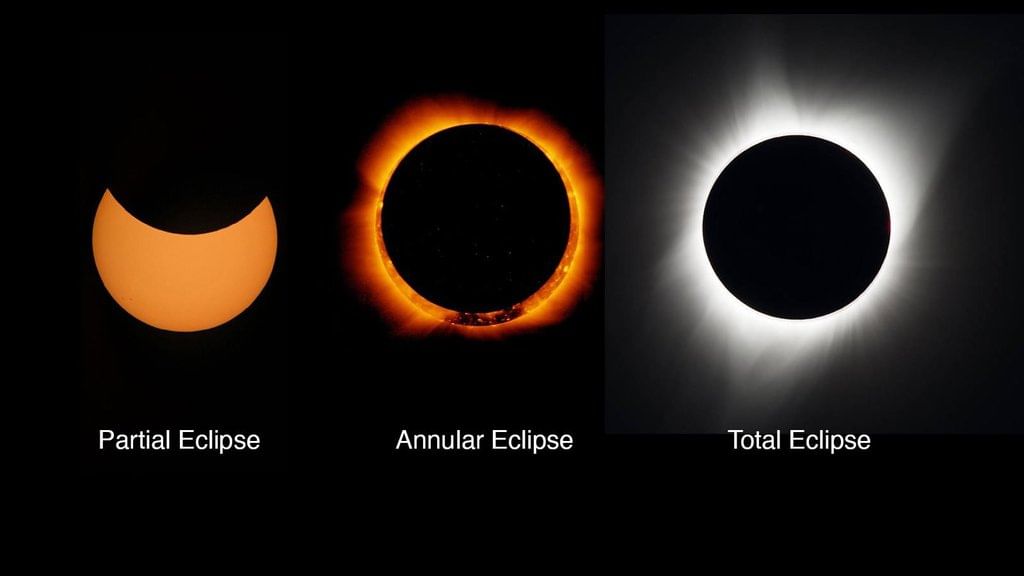 MCQ (Solution) - Keeping Time with the Skies | Science Curiosity Class 8 -  New NCERT