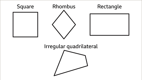 Properties of Quadrilaterals - Year 7