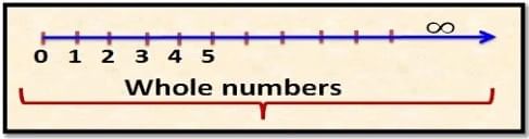 Rational and Irrational numbers Chapter Notes | Mathematics Class 8 (Maharashtra Board)
