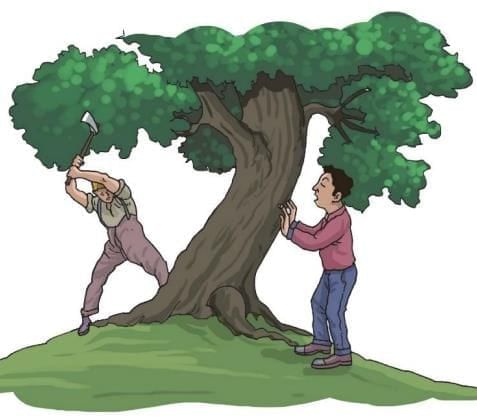 Summary: Woodman, Spare That Tree! | English Class 6 ICSE