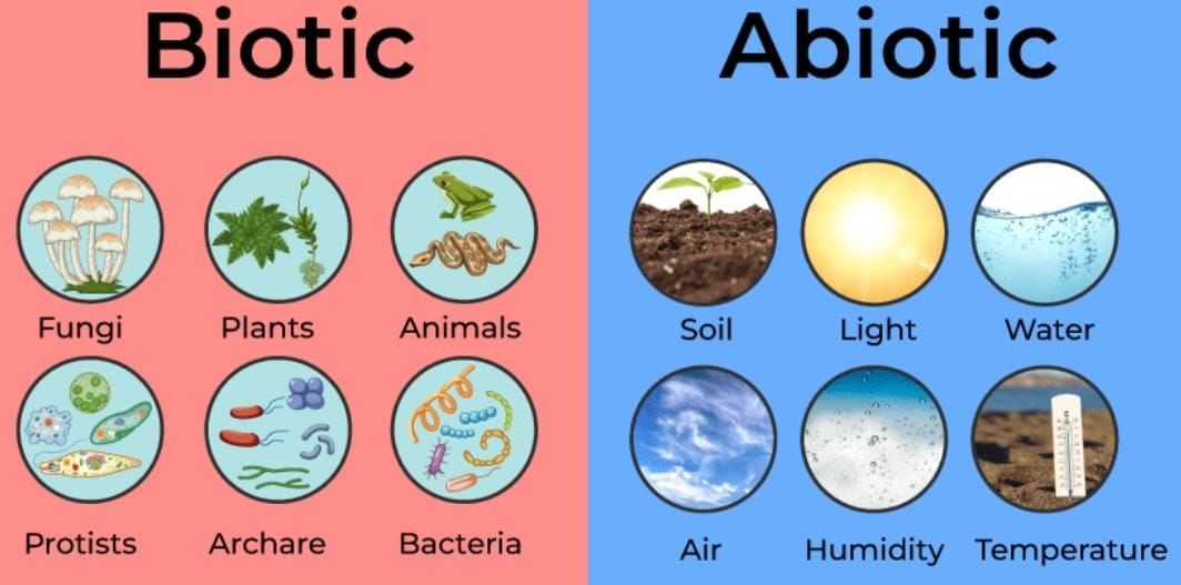 Short and Long Answer Questions: How Nature Works in Harmony | Science Curiosity Class 8 -  New NCERT