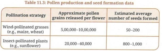 Activity 11.7 : Let us find out - Pollination Strategies and Seed Formation