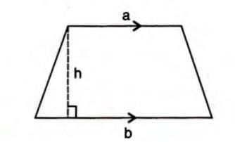 5. Trapezium