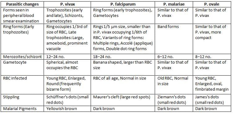 Plasmodium Species and Babesia Chapter Notes | Microbiology - NEET PG